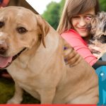 The V Foundation Announces Canine Comparative Oncology Grant Program